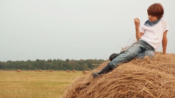 十几岁的男孩坐在乡下收割田上的草堆上。年轻英俊的男孩在村里农田的干草堆上休息。