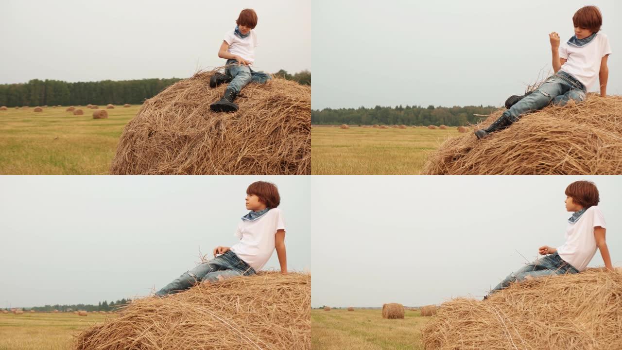 十几岁的男孩坐在乡下收割田上的草堆上。年轻英俊的男孩在村里农田的干草堆上休息。