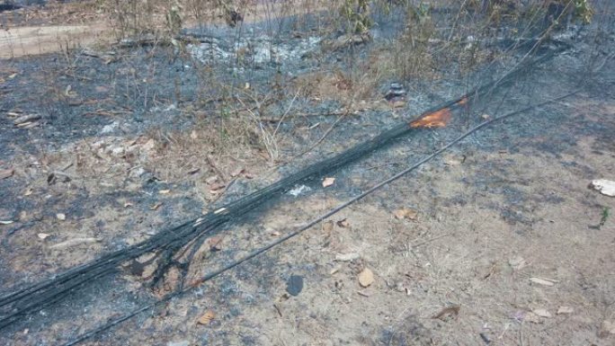 草火烧干叶和光纤导线。地表火灾破坏环境气候危机。镜头4k