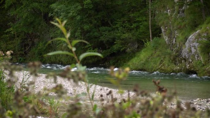 山河清水森林海氧吧瀑布溪流水