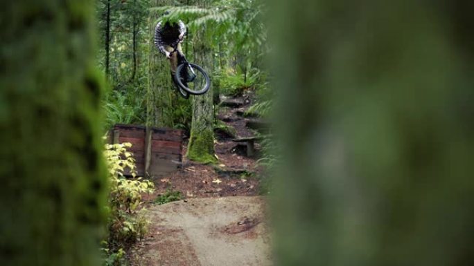 林木慢动作框框的电影山地自行车泥土跳跃
