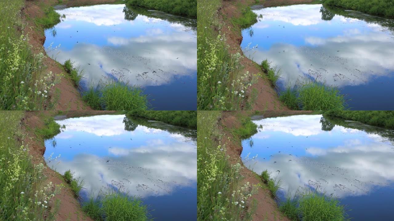一群燕子飞过河。