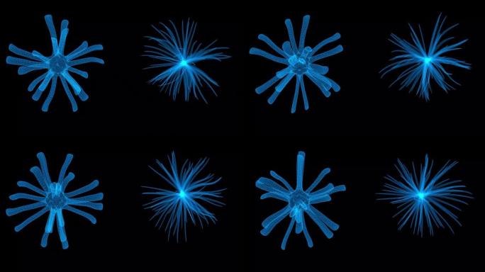 黑色背景上微生物生物的未来派HUD元素。细菌或病毒结构方案。循环旋转