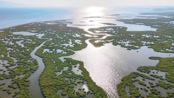 湿地鸟瞰图湿地公园湖泊湖水生态航拍