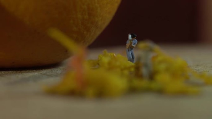 微型工人在橙皮上工作