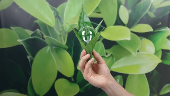 手握着绿色自然背景上绿色叶子包裹的灯泡。生态节能概念。世界环境日。想想绿色。复制空间