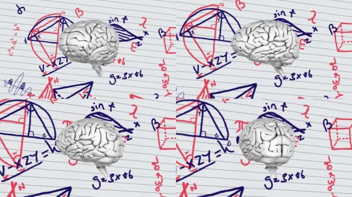 用白纸衬着数学方程式和图表旋转大脑