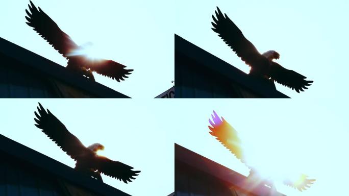 鹰煽动翅膀滑翔。美国自由象征。木制鹰