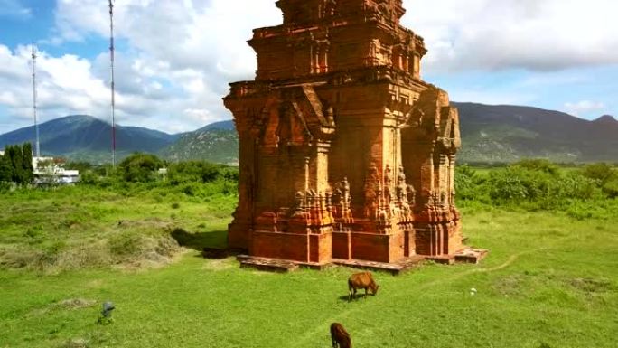 山谷无人机景观中的旧寺庙塔和放牧奶牛