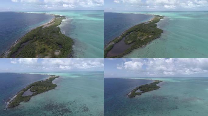 景观萨利纳斯加勒比海岛，绿松石海和绿色红树林。鸟瞰图恒定高度向后运动。委内瑞拉洛斯罗克斯拍摄的视频