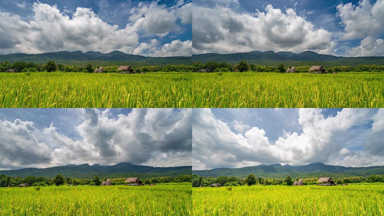 泰国清迈怀涛湖稻田上移动云层的延时