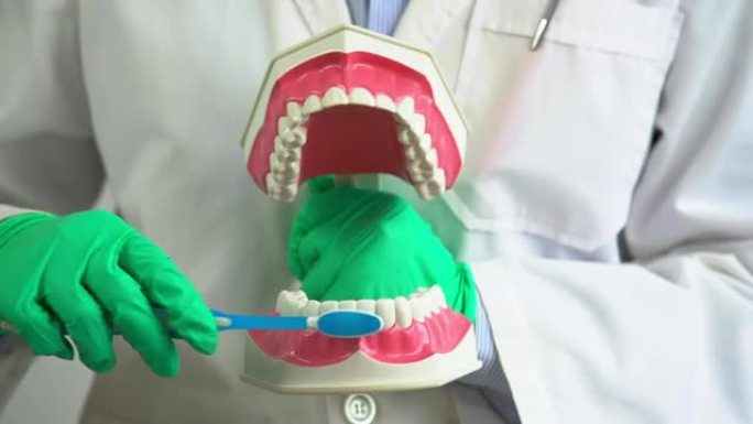 牙医演示如何在牙科诊所刷牙