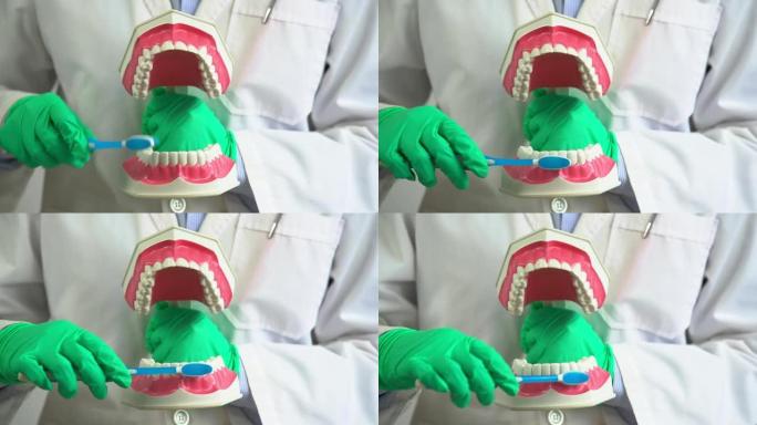 牙医演示如何在牙科诊所刷牙