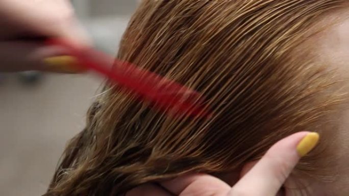 发型师在客户头上梳理头发，在美发车间进行实践和培训，分叉头发，侧视特写
