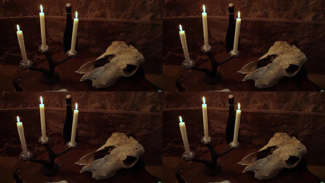 动物头骨，蜡烛，万圣节神秘的令人毛骨悚然的气氛。10月31日是诸圣的节日。