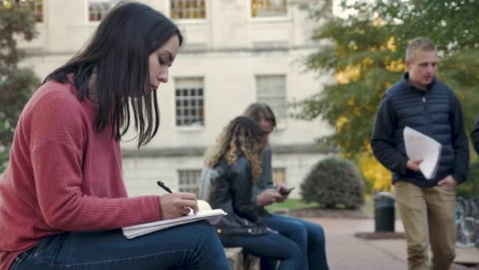 年轻女子在校园里用笔记本和笔在外面学习写作