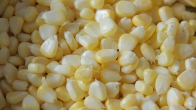 新鲜玉米粒原浇注落在托盘上