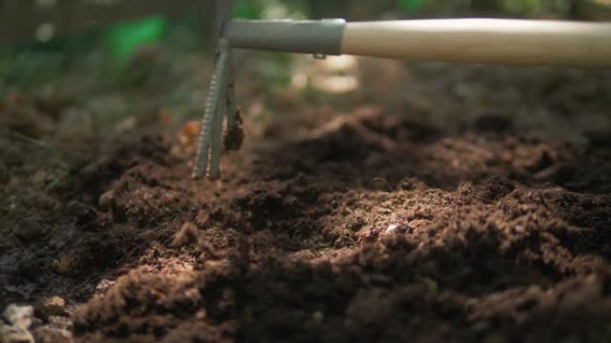 萝卜之间除草的锄头特写视图。锄头在蔬菜排之间除草