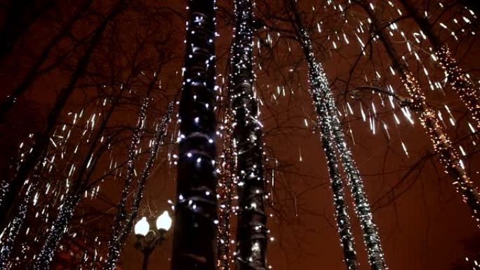 圣诞节。晚上以掉落的形式照亮树木。新年主题