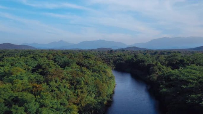 巴西河热带绿色森林的鸟瞰图，背景为山脉