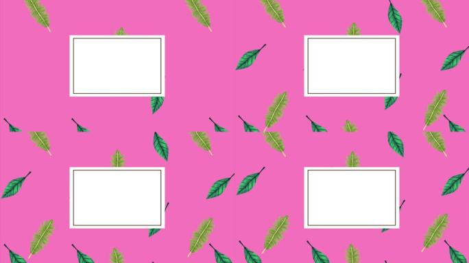热带异国情调的叶子生态动画图案和粉红色背景下的方形框架