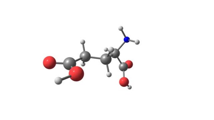 谷氨酸旋转视频上白