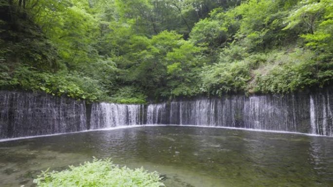 白东野-泷瀑布