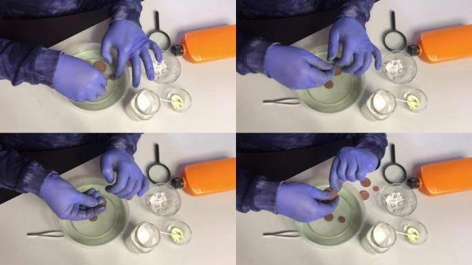 一个戴着橡胶手套的蒙面人从磷酸中拉出铜币。检查并放回。在苏打水和硫酸软膏旁边清洗铜币。