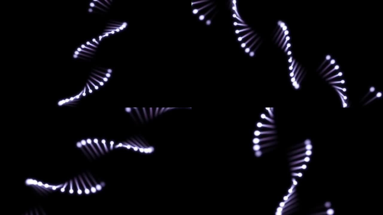 在黑色背景上闪烁DNA的3D动画。60FPS。对象在屏幕中心旋转。