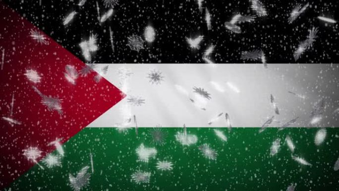 巴勒斯坦国旗降雪圈，新年和圣诞节背景，圈