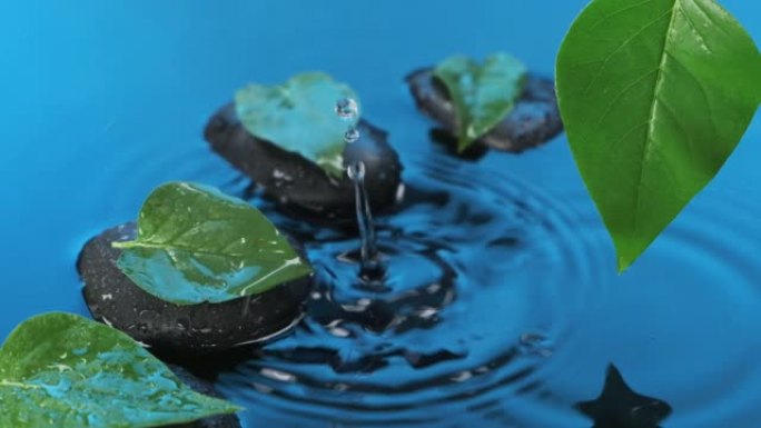 慢动作。水滴落在蓝色水中绿叶的黑色石头上。水疗背景。