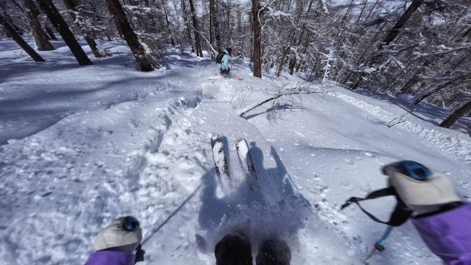 高速野雪粉雪跟拍4K