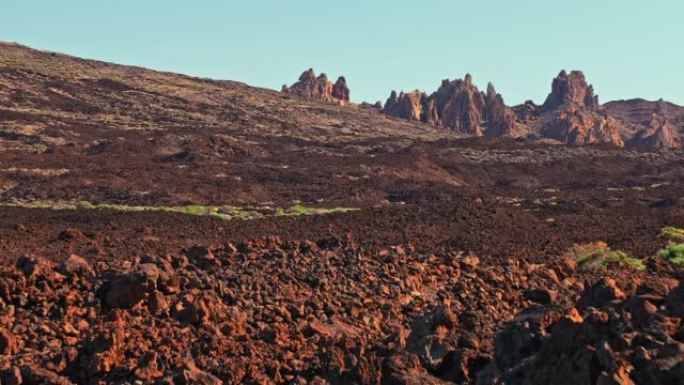 火星行星的夏季表面，概念。红色的石头覆盖，沙漠植物的高山和绿色灌木丛。可以用来说明火星的殖民，宇航员