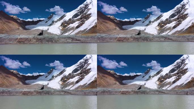 廓琼岗日冰川 旅拍西藏旅拍 夏天