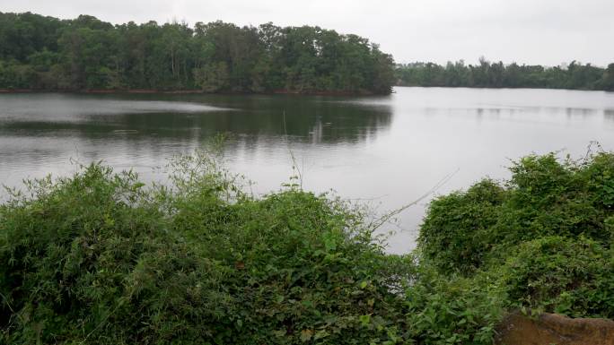 海口沙坡水库