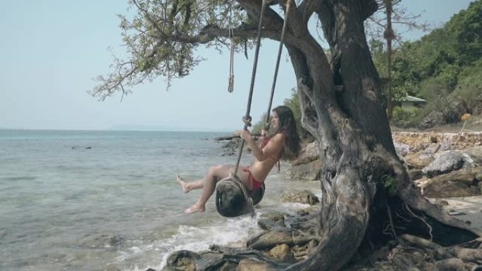 快乐的女孩坐在平静的海洋海滩上树边的老秋千上