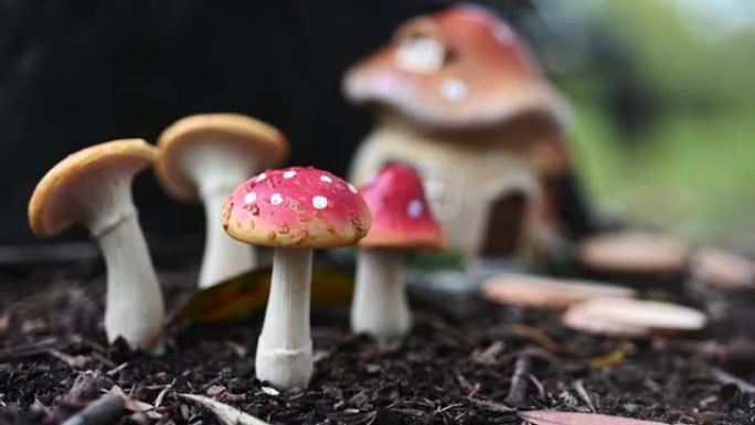 森林里的小蘑菇仙女屋