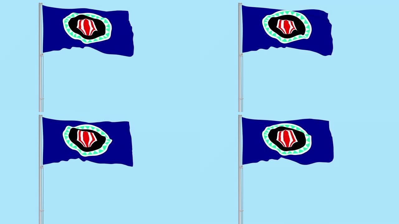 透明背景下的布干维尔旗，4k前置4444片段
