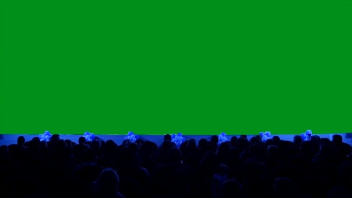观众在绿色背景下观看表演