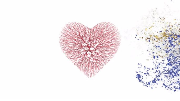 乌拉圭国庆节。8月25日。独立日。心动画与阿尔法磨砂。花朵形成心形。