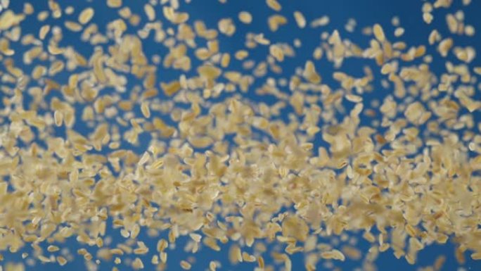 蓝色背景下的小麦小麦