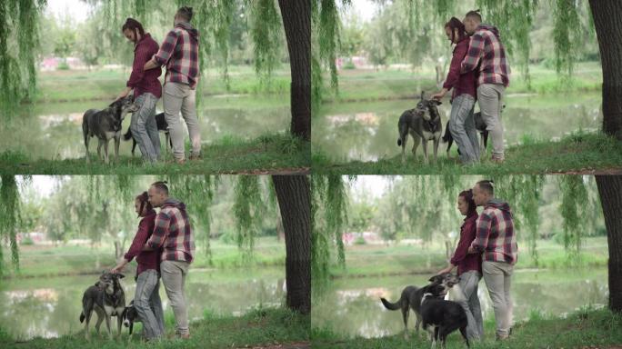 慈爱的高加索夫妻和两只狗站在湖岸上。夏季早晨，快乐的成年男女与家畜一起在户外散步