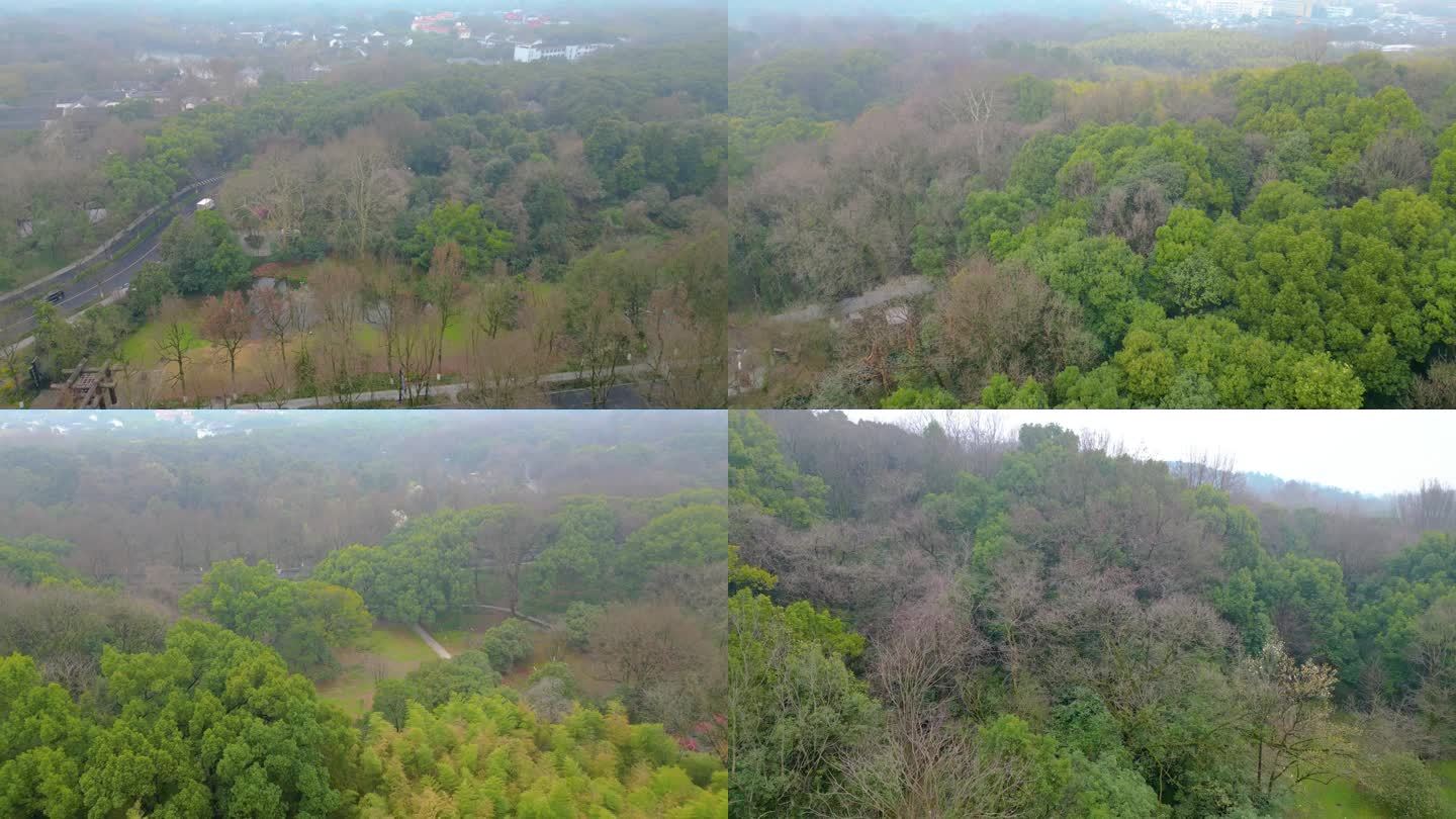 杭州植物园春天树林风景视频素材航拍
