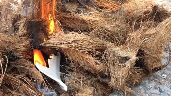 从干燥的棕色椰子残渣中点燃篝火。