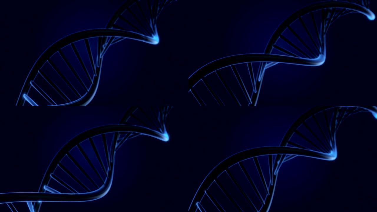 旋转DNA的无缝动画