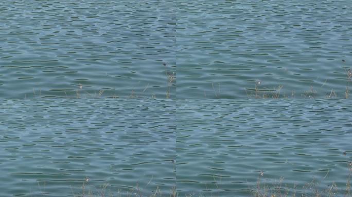 湖面，水波形成抽象图案。自然背景概念。特写视图。