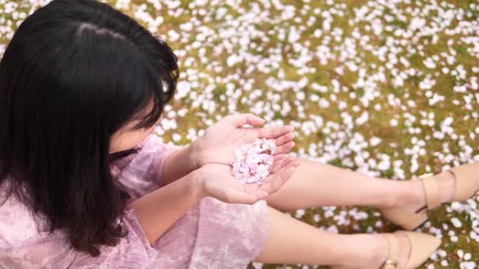 高视角的美丽的中国年轻女子穿着粉红色的连衣裙坐在草地上覆盖着花瓣，双手吹着粉红色的樱花花瓣，超级慢动