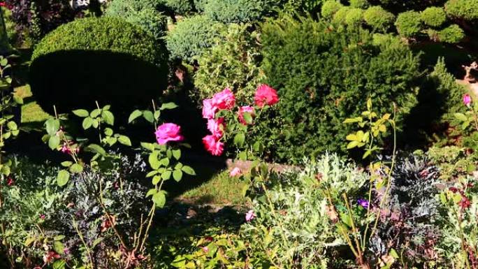 东方花园与黄芪玫瑰和其他植物