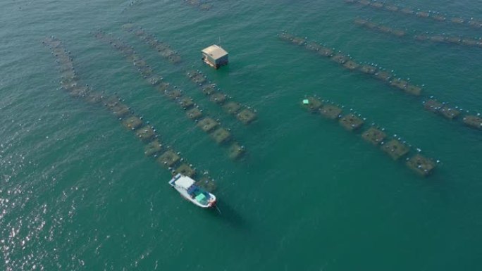 在热带地区公海的大型海洋农场的航拍。海洋农业概念