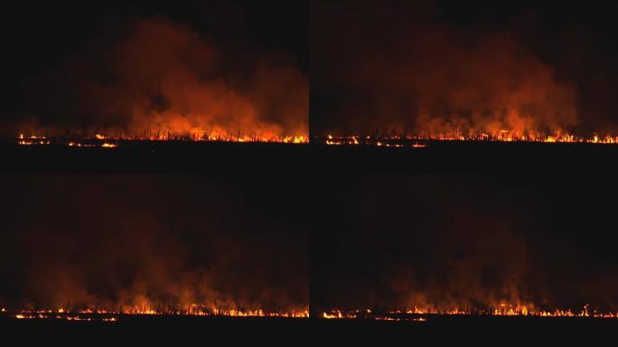 田野里的夜火。在大树周围燃烧的干草。惊人的画面。4K